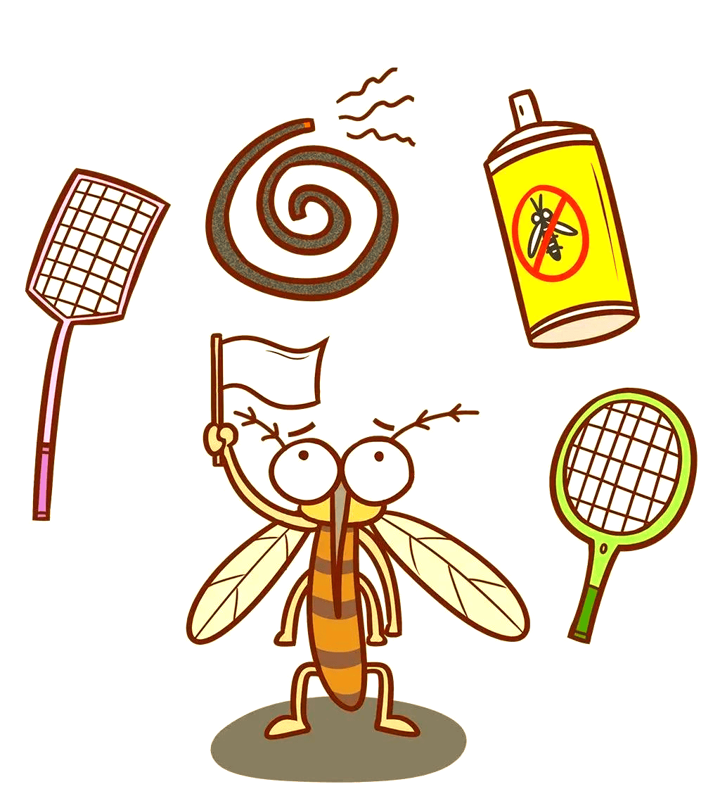 2加强个人及家庭防护✅防蚊灭蚊关键是减少蚊虫孳生场所