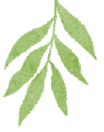活动预告 | 立体书绘制系列课程（第二期）——背起行囊看世界