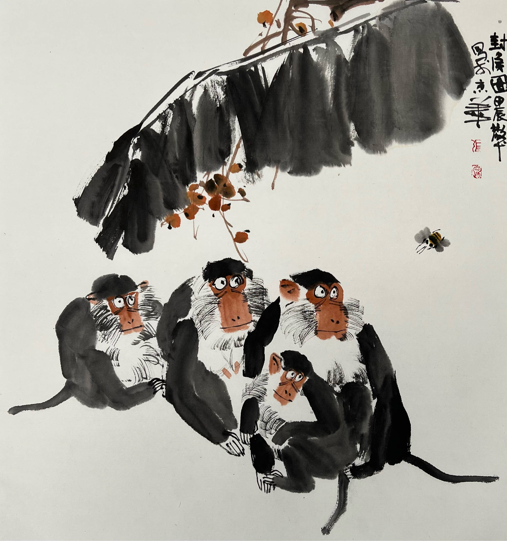 生肖猴的运势和财运如何(属猴的运势和财运)