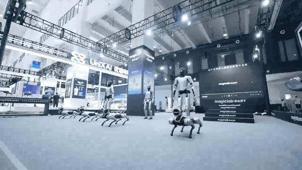 2025世界机器人大会今起开幕，宇树、优必选、银河通用等上百款人形机器人亮相