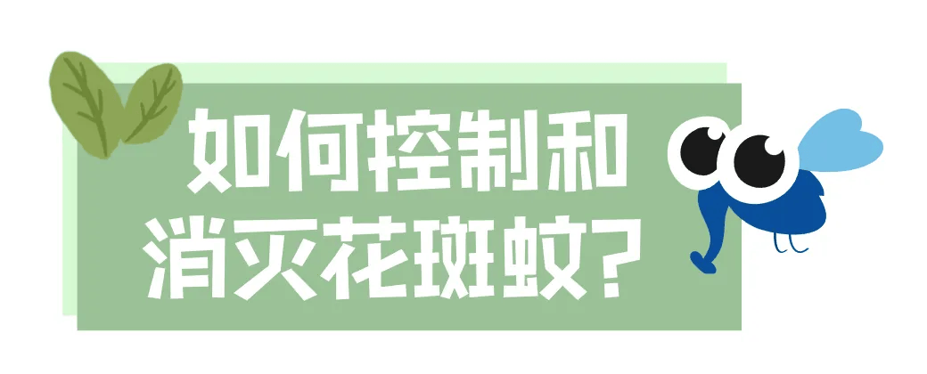 家里的这几个地方，正悄悄“养”出花斑蚊！快自查→