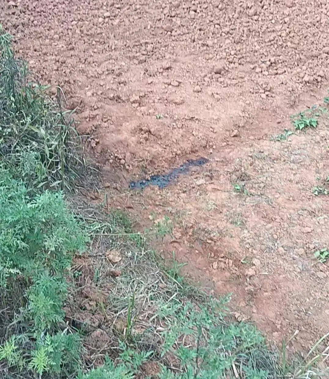 工人如厕被误当猎物枪击身亡！这一关键情节可能让罪责认定升级为“间接故意杀人”！