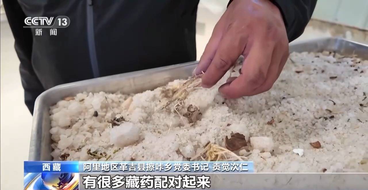 断情笔散王颜丨王者梦颜_西藏辉煌成就_