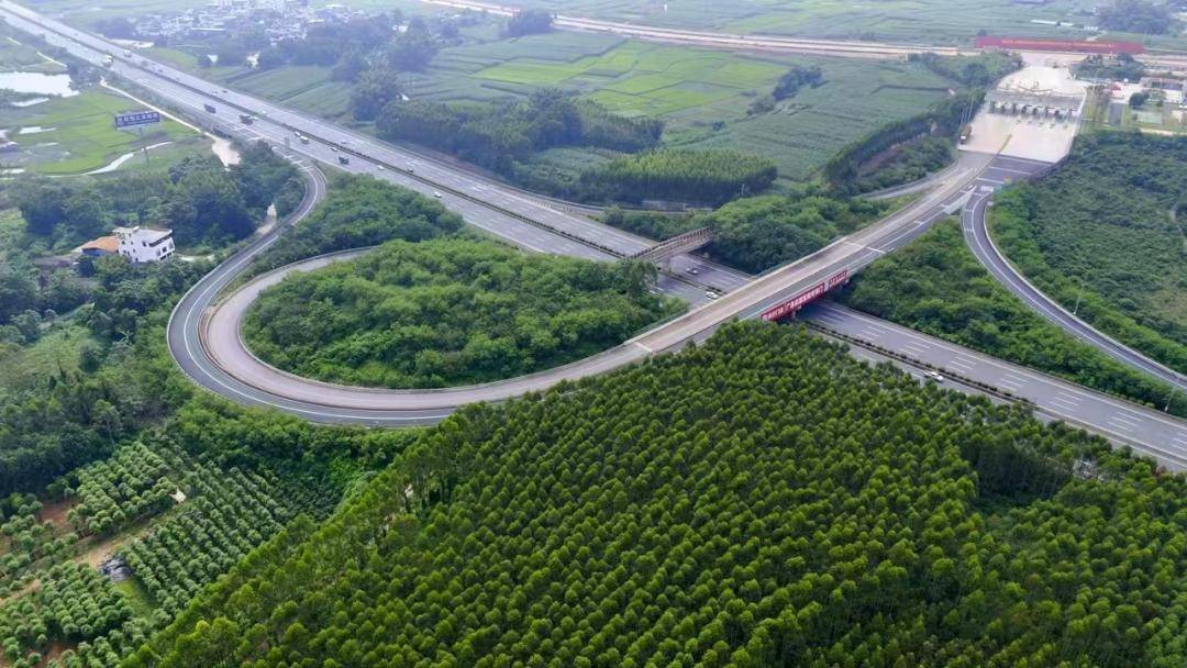 竣工验收！柳州至南宁高速公路传来新消息