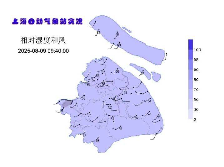 第11号台风“杨柳”突然北抬！明天闵行或将下开水……