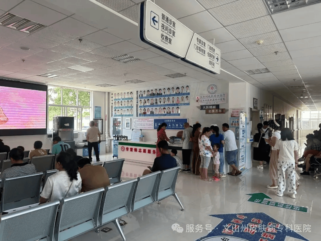 包含原306医院代诊挂号服务一站式解决就医顾虑，全程无忧的词条