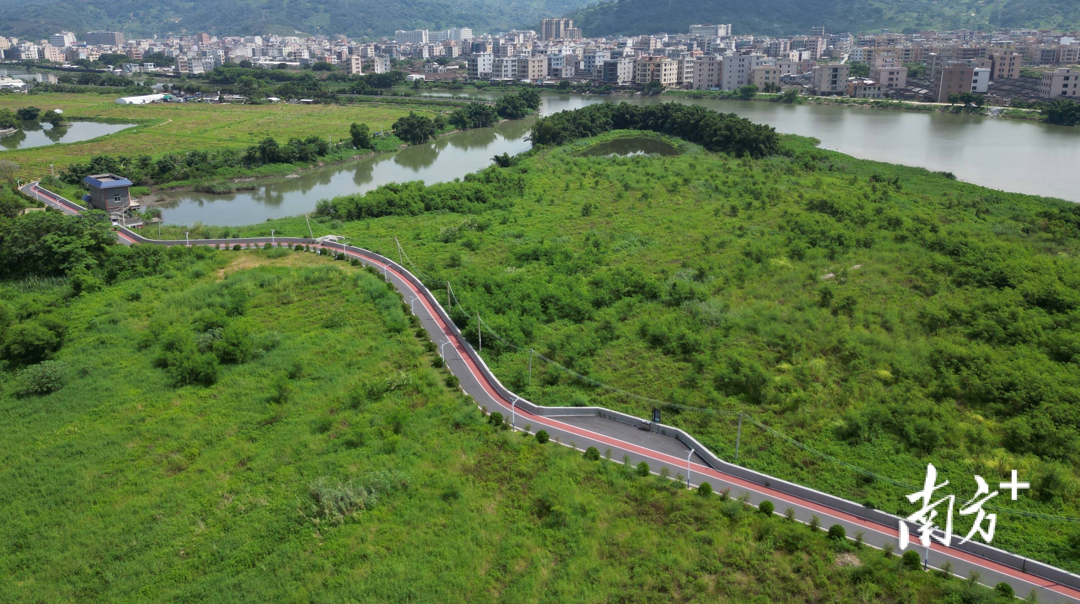 水边休闲好去处,潮南区练江干流碧道"养眼"又"养身"
