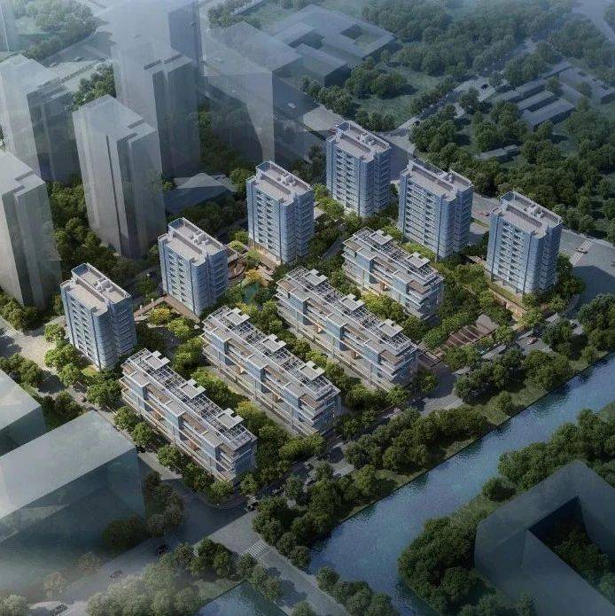 西房拱墅区东新单元项目公示,规划4幢叠排、6幢小高层_地块_监测_服务