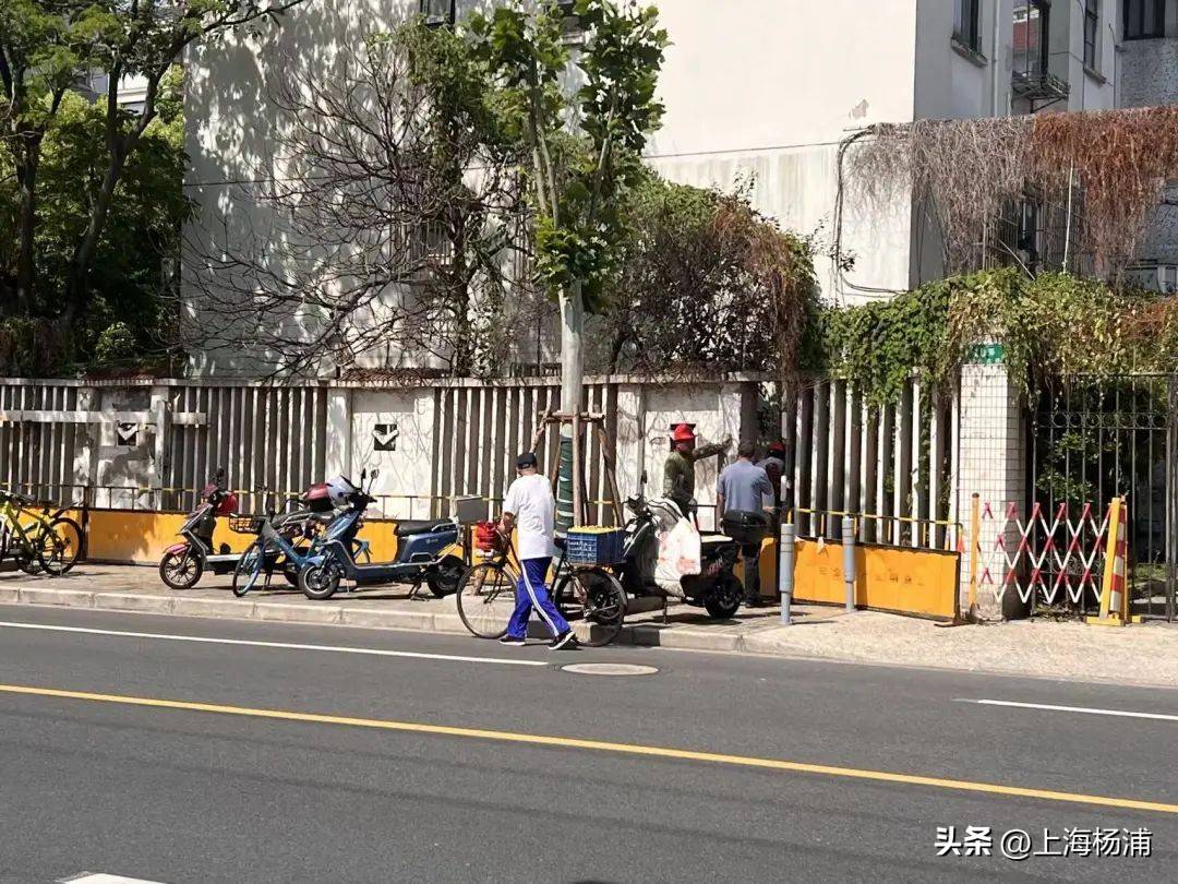 从“危墙”到“微墙”，“居民自治”与“多格合一”共绘危墙“治”理