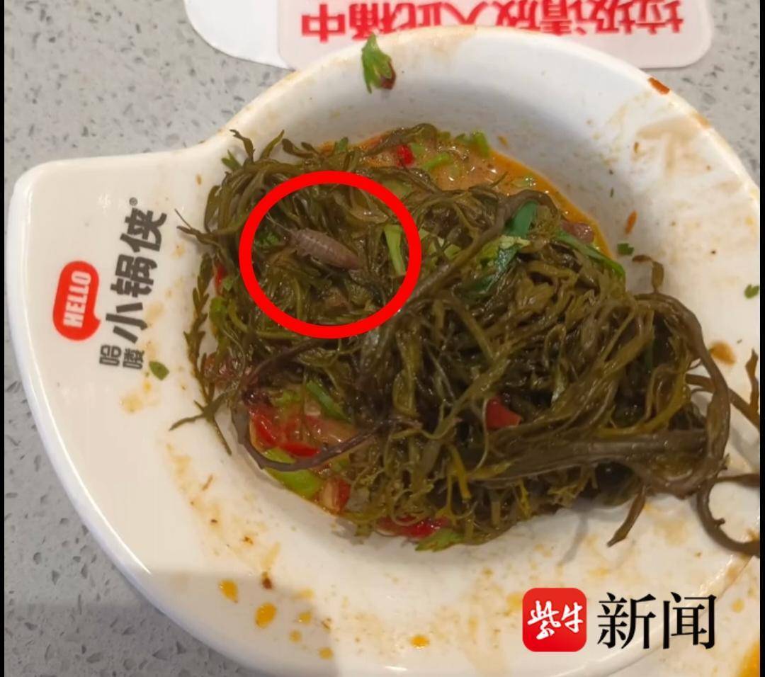 南通万达“哈喽小锅侠”自助火锅店:消费者鞭炮笋中吃出虫子? 商家回应不是虫是虾米