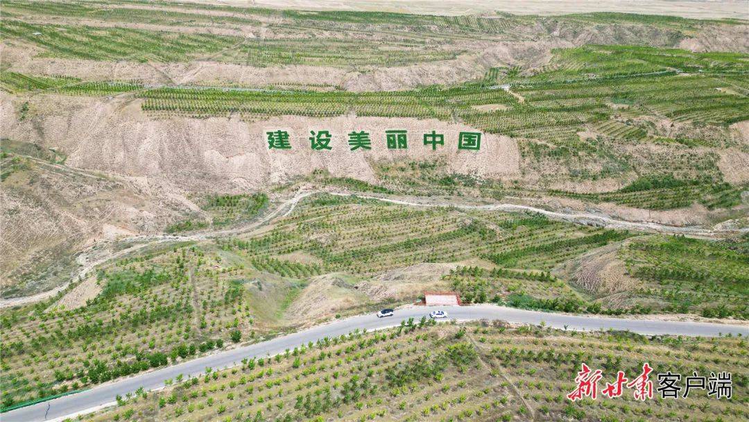 甘肃：守护绿水青山 赋能绿色发展