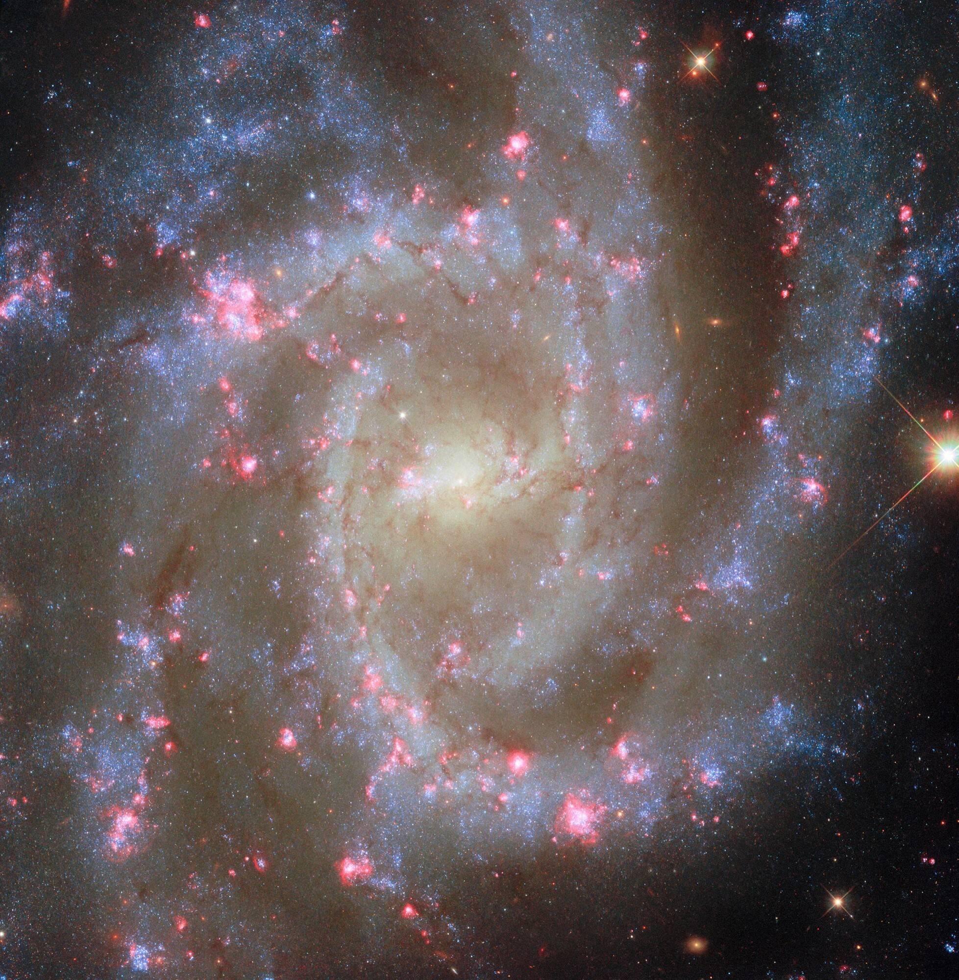 哈勃望远镜新视野ngc 2835星系粉红星云揭示恒星生命奥秘