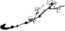 笔墨入境：国画与生活美学的交融 │ “阅享·生活美学”第八期预约报名开启！