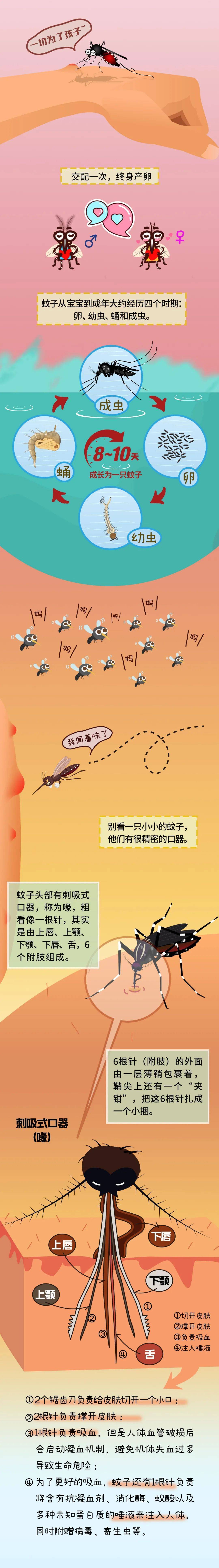 蚊子为什么吸血后有包为什么在线