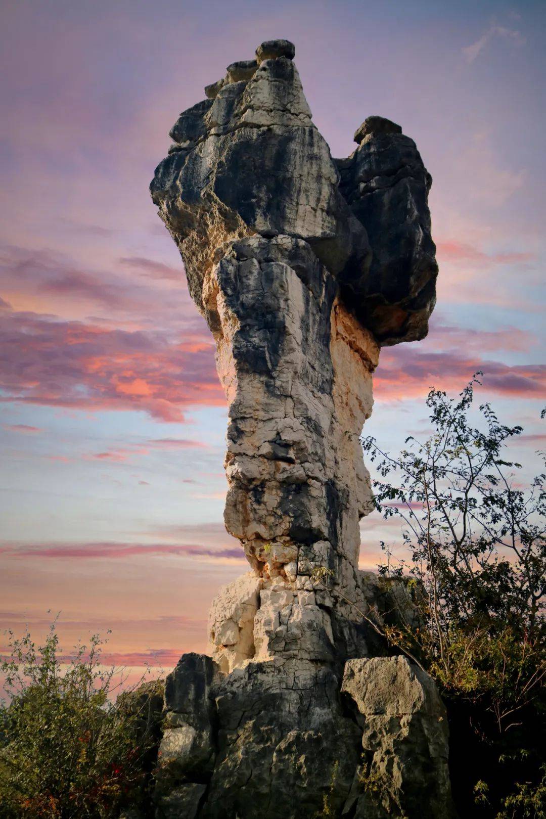 天铸奇章万年灵芝:烟峦深处隐仙踪,浩荡长风岁月平