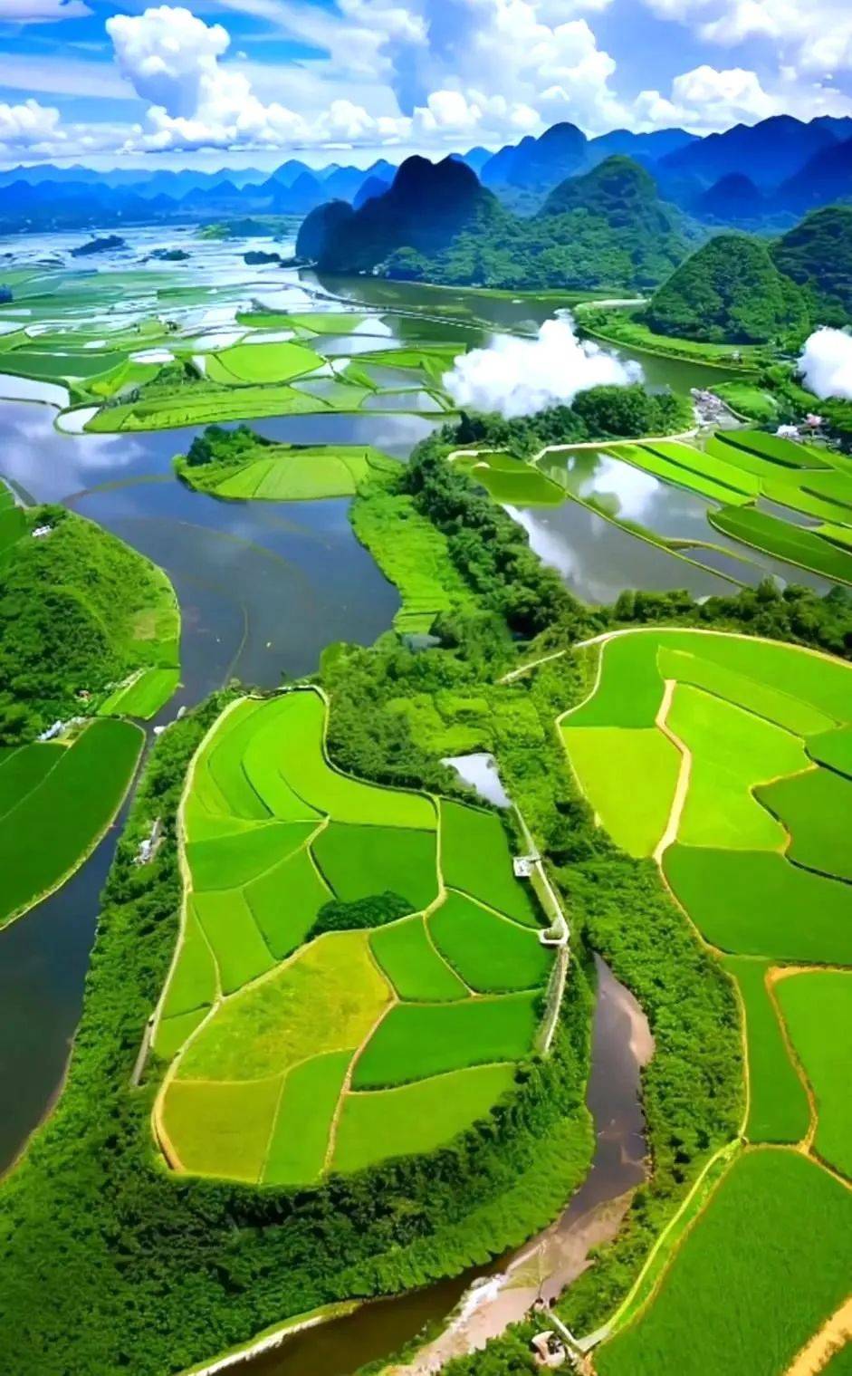 这组图片简直太美了,看一眼就感觉神清气爽!