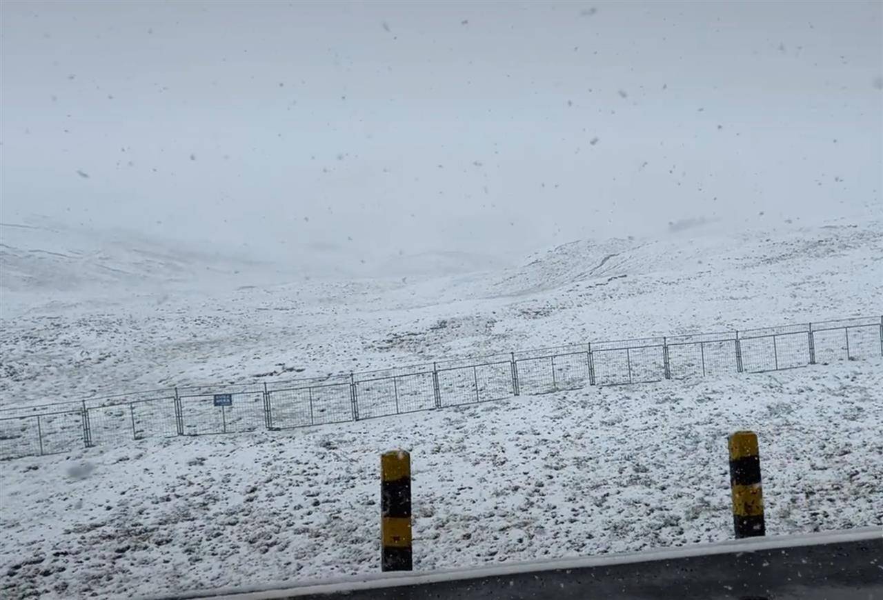 祁连山8月突降鹅毛大雪，下了三四个小时，广东游客：遇到人生第一场大雪，还是夏天的雪，太幸运