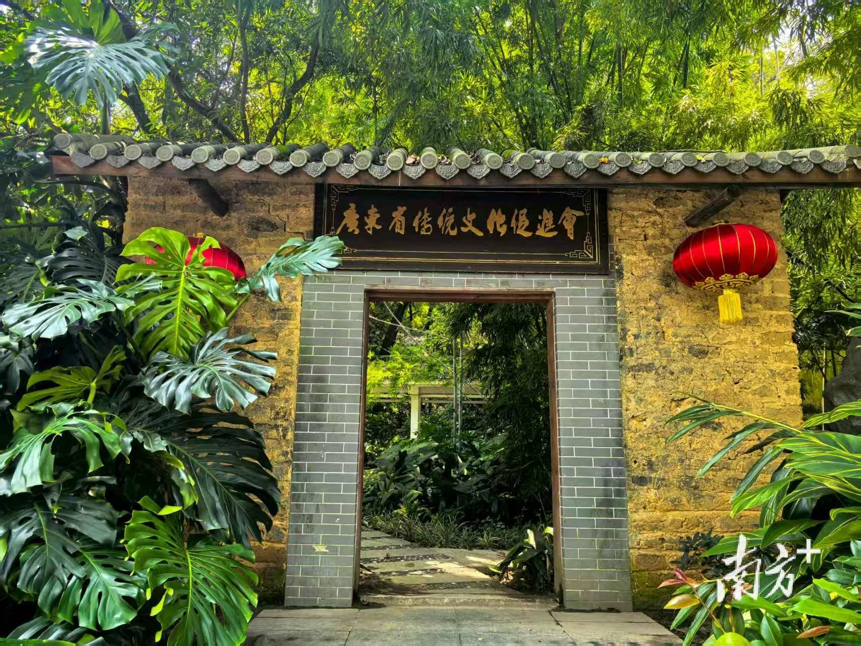 伪院士假参事迅速落网，彰显了法治威严｜有风自南