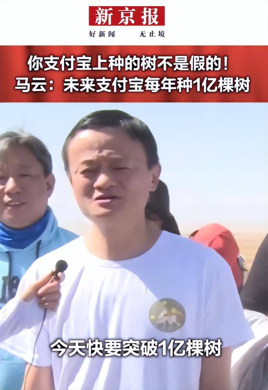 马云与蚂蚁森林：从荒漠到绿洲，见证数字化时代的绿色奇迹