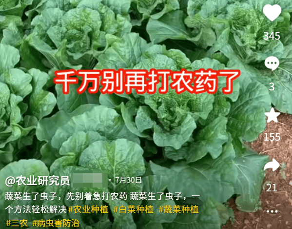为了骗农民的钱，这群人注册了上千个账号。