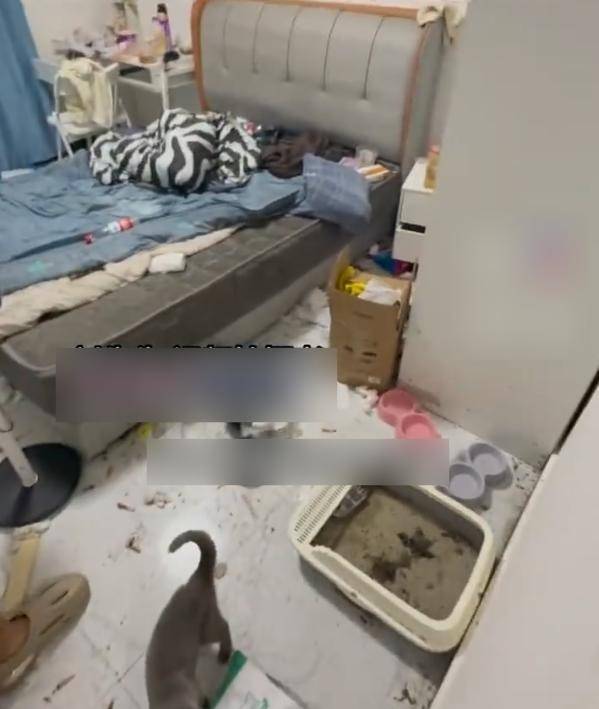 马桶里都是屎！00后情侣欠租失联留满屋苍蝇蛆，中介回应