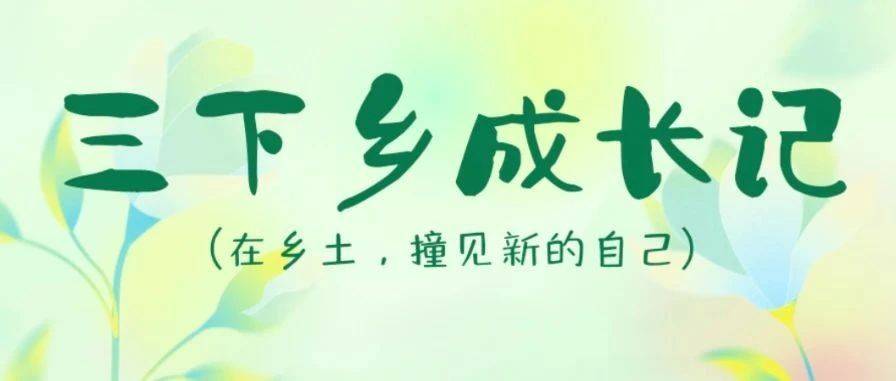 三下乡㉒ | 在乡土,撞见新的自己_团队_未来_田垄
