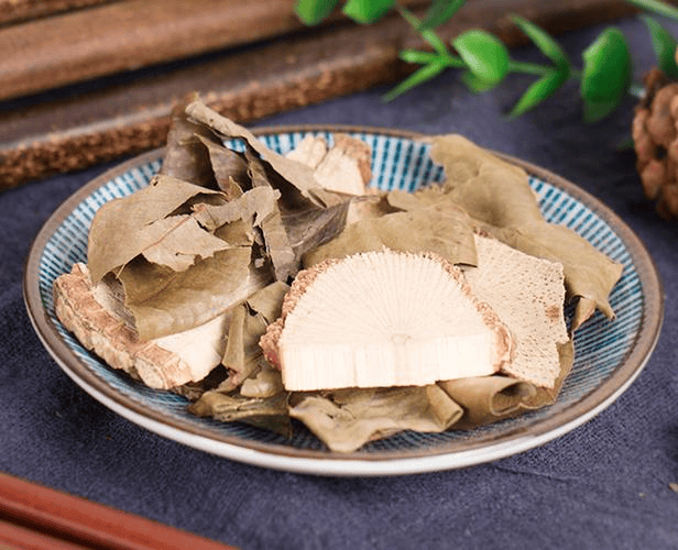 —汉桃叶天然镇痛,安全无成瘾,助力神经痛和风湿痛慢