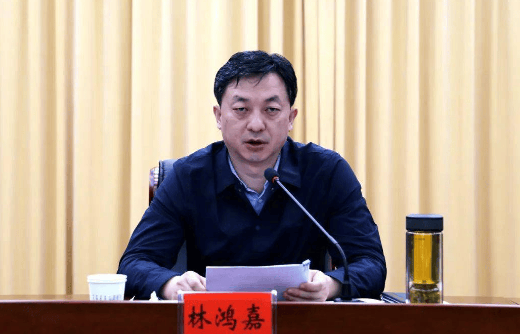 鹤壁市常务副市长林鸿嘉，被罢免市人大代表职务