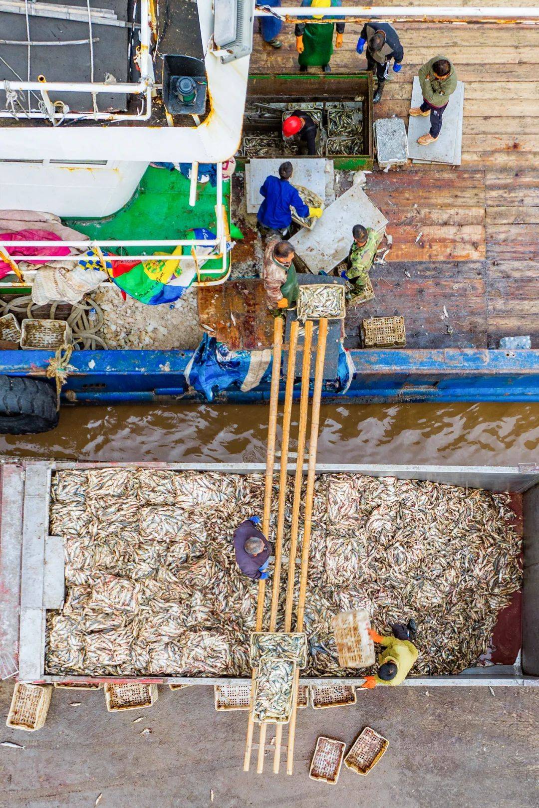 图片[10]-中国最会搞钱的城市，吃个海鲜居然这么精打细算？-华闻时空