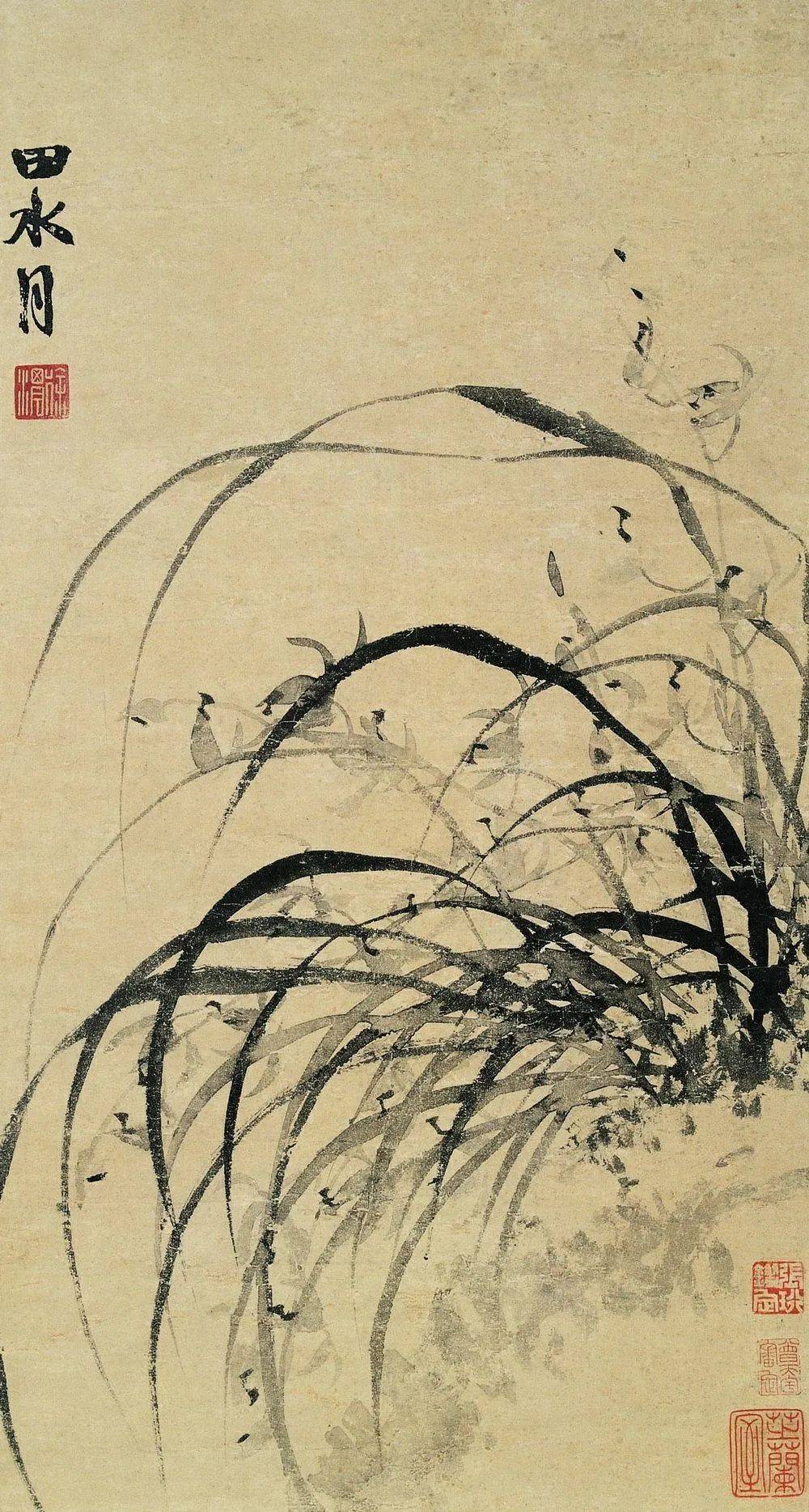 徐渭的诗情画意,别有天地非人间