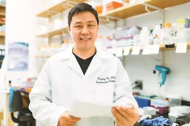 深圳理工大学叶克强教授创新药，为阿尔茨海默病患者带来福音