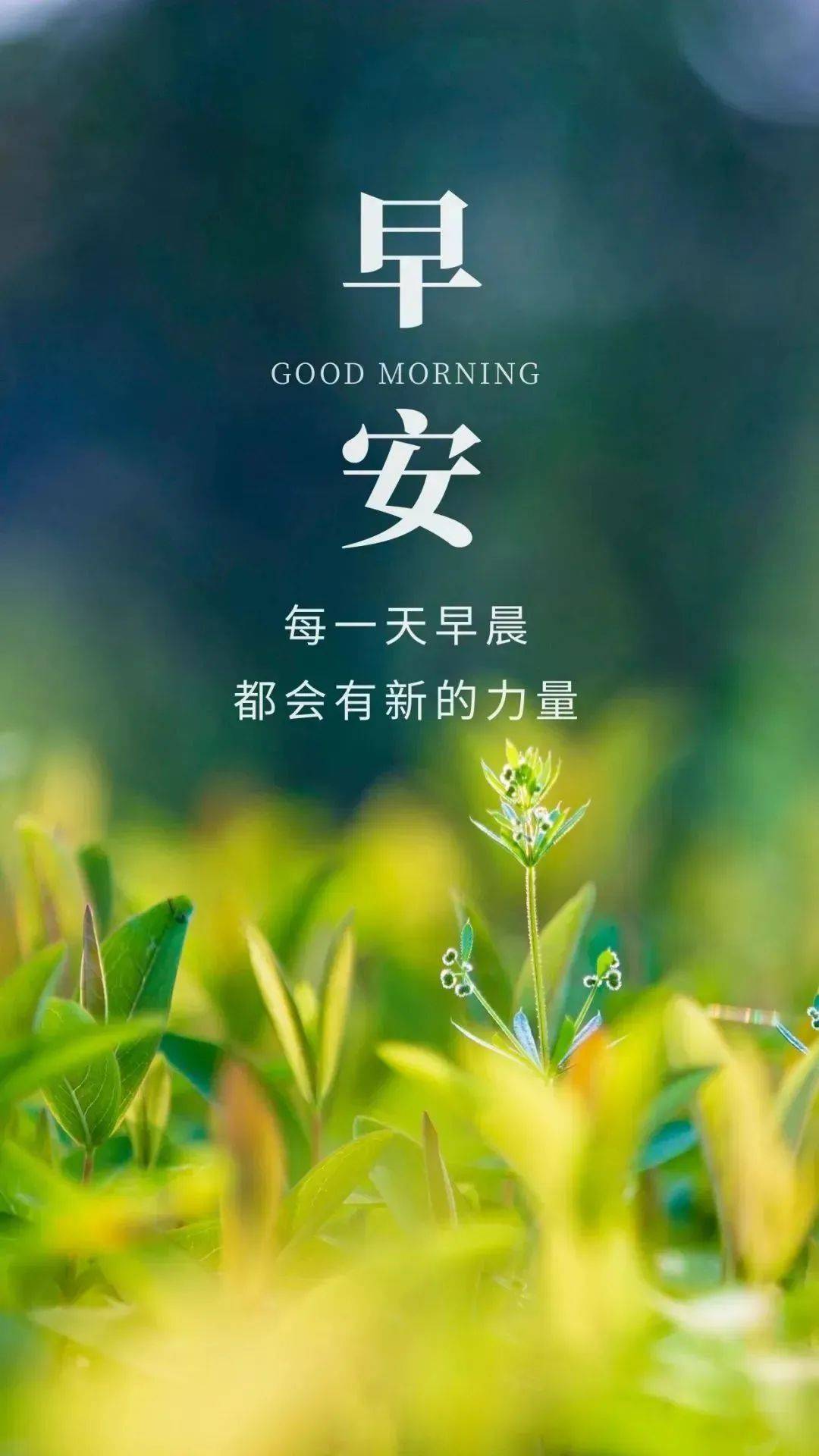 12句顶级励志正能量句子,句句充满力量,让你瞬间满血复活