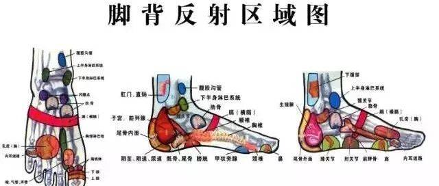 老中医说上病取下.百病治足_脚趾_眼睛_功能