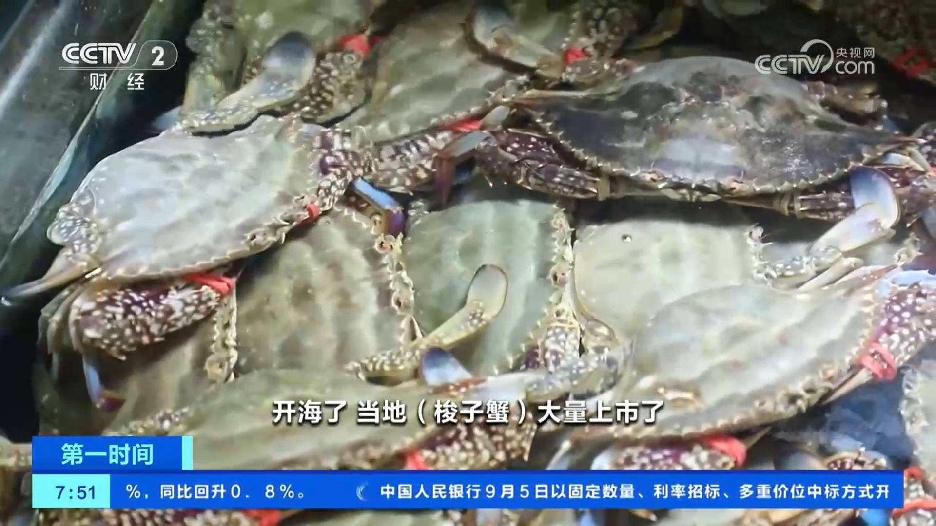 开海了 丰收了 海鲜水产品供应品类丰富、质优量大