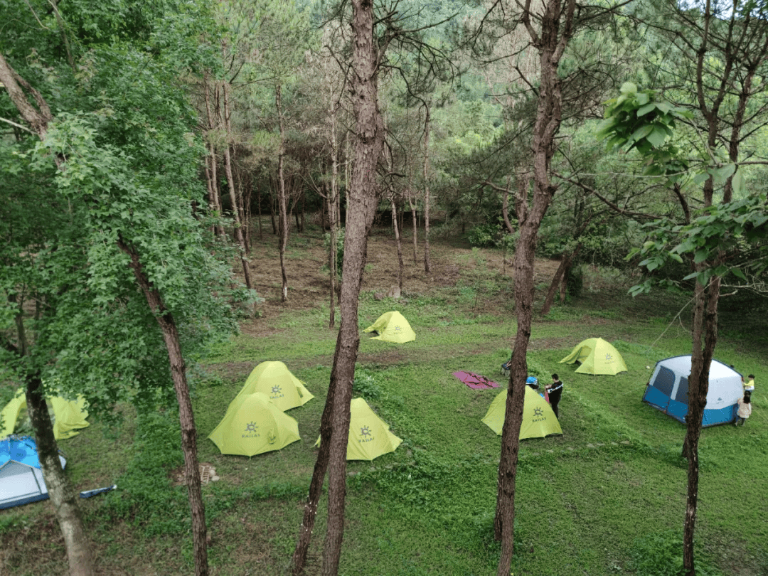 带孩子一起来仙湖自然学校探险吧!