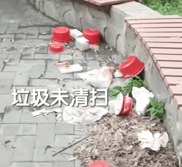 “我花665万买在猪窝里了”，居民吐槽曾经的金牌小区如今脏乱差：强烈要求进驻物业