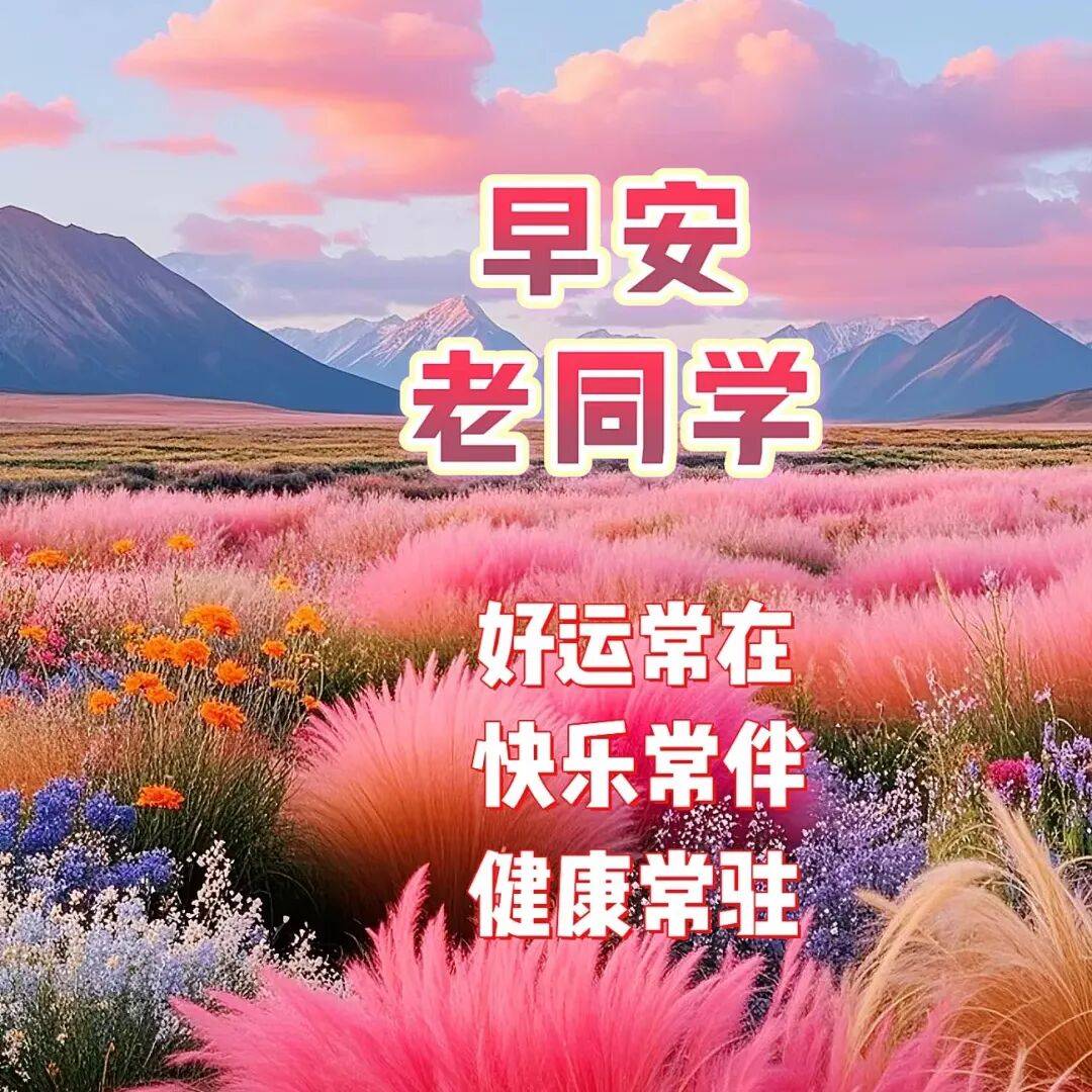 早上好祝福动态美图早上好漂亮聊天问候图片
