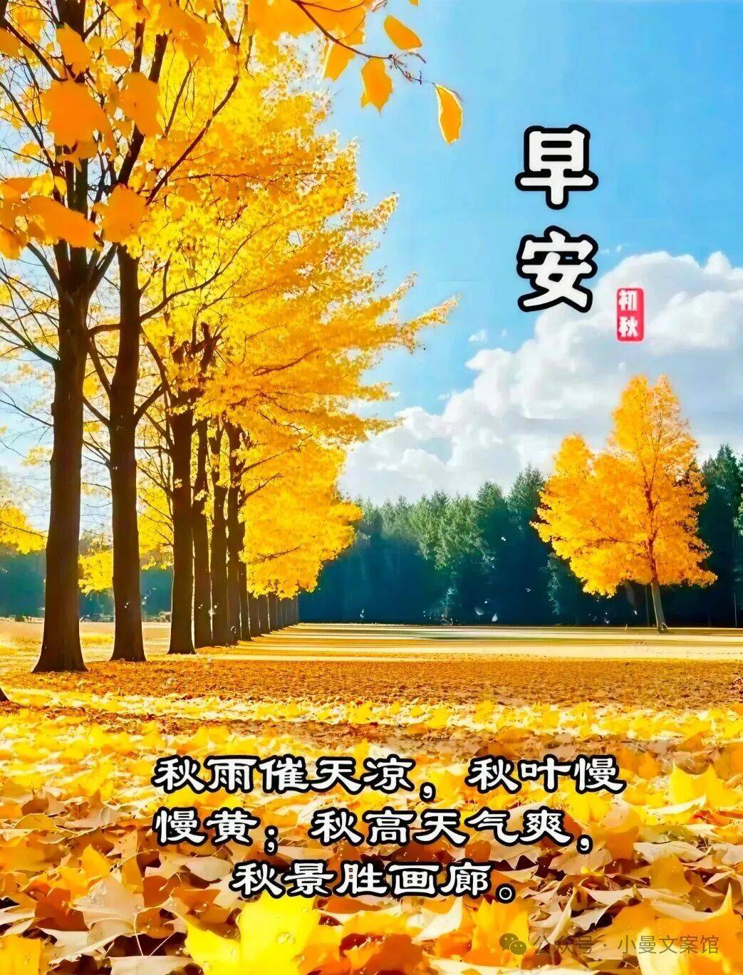 9月17日最漂亮早上好动态表情图片大全,早晨好动图美图大全