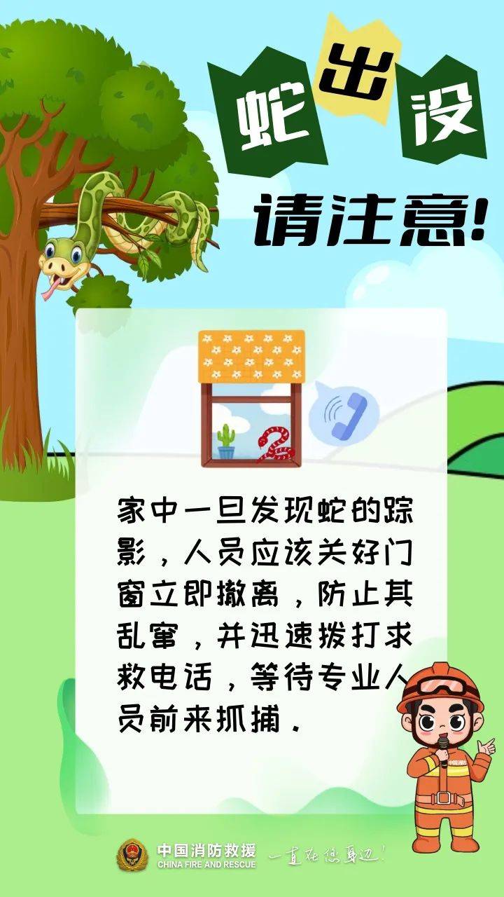 事发广东！20斤蟒蛇竟“一口闷”生吞小牛犊，抓捕时张开血盆大口