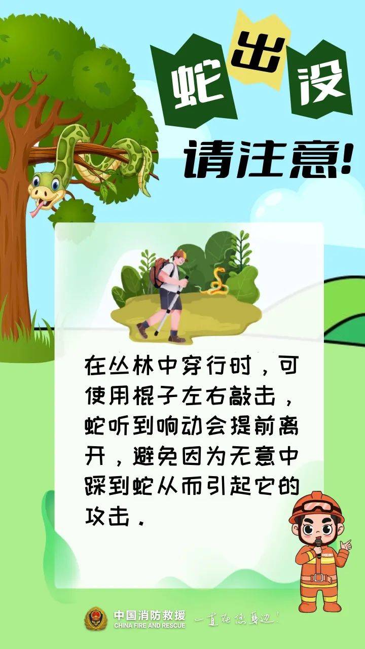 事发广东！20斤蟒蛇竟“一口闷”生吞小牛犊，抓捕时张开血盆大口