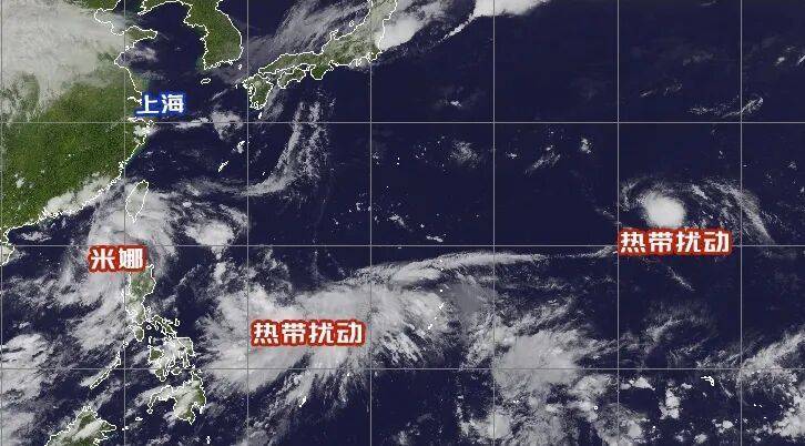 高温终于熄火！秋台风冒头，后续可能给上海带来降水
