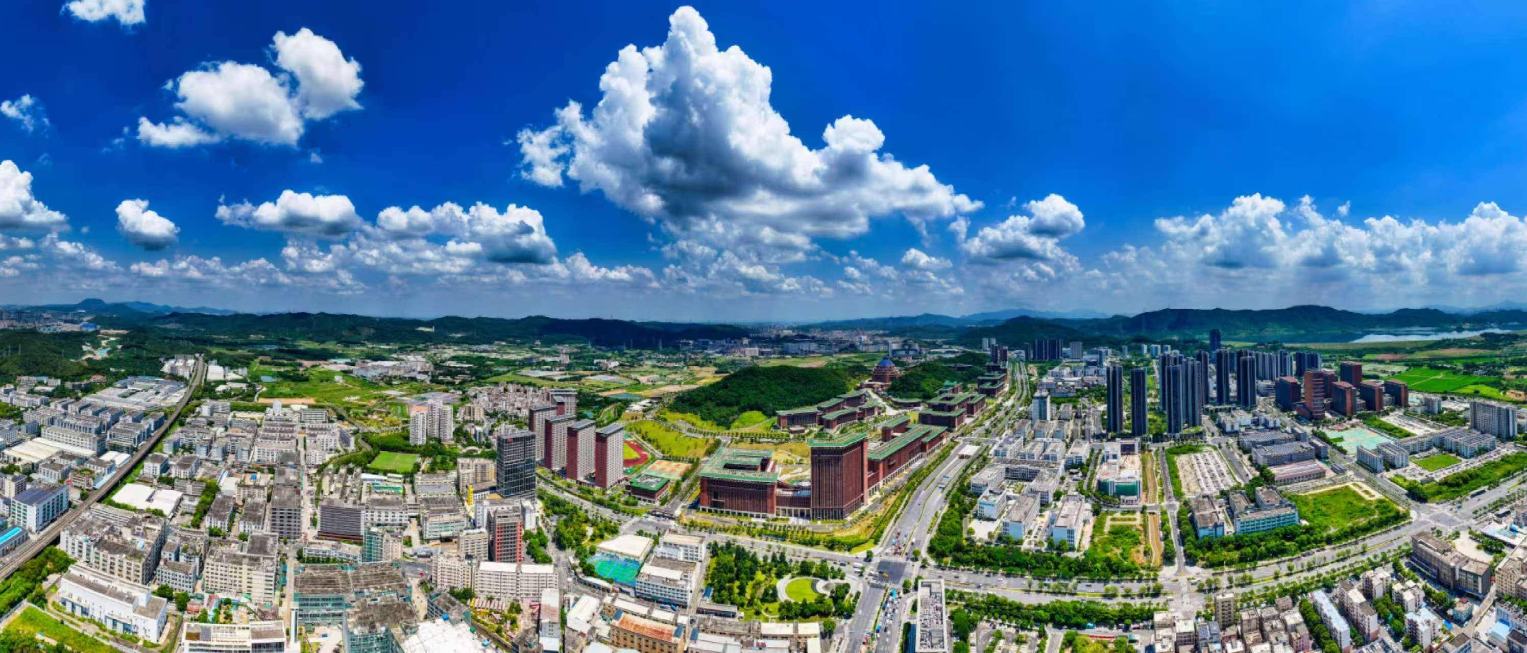 酱酒市场新机遇：招商政策释放潜力
