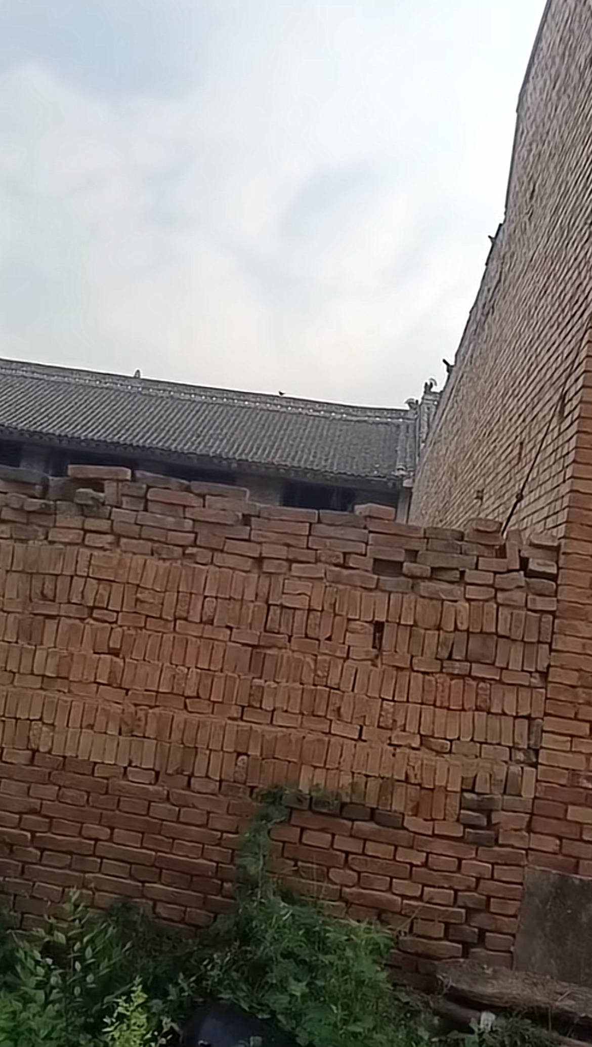 监控曝光！运城一男子因前女友拒复合持刀闯入家中，女子哥哥在家门口遇害，案件将开庭