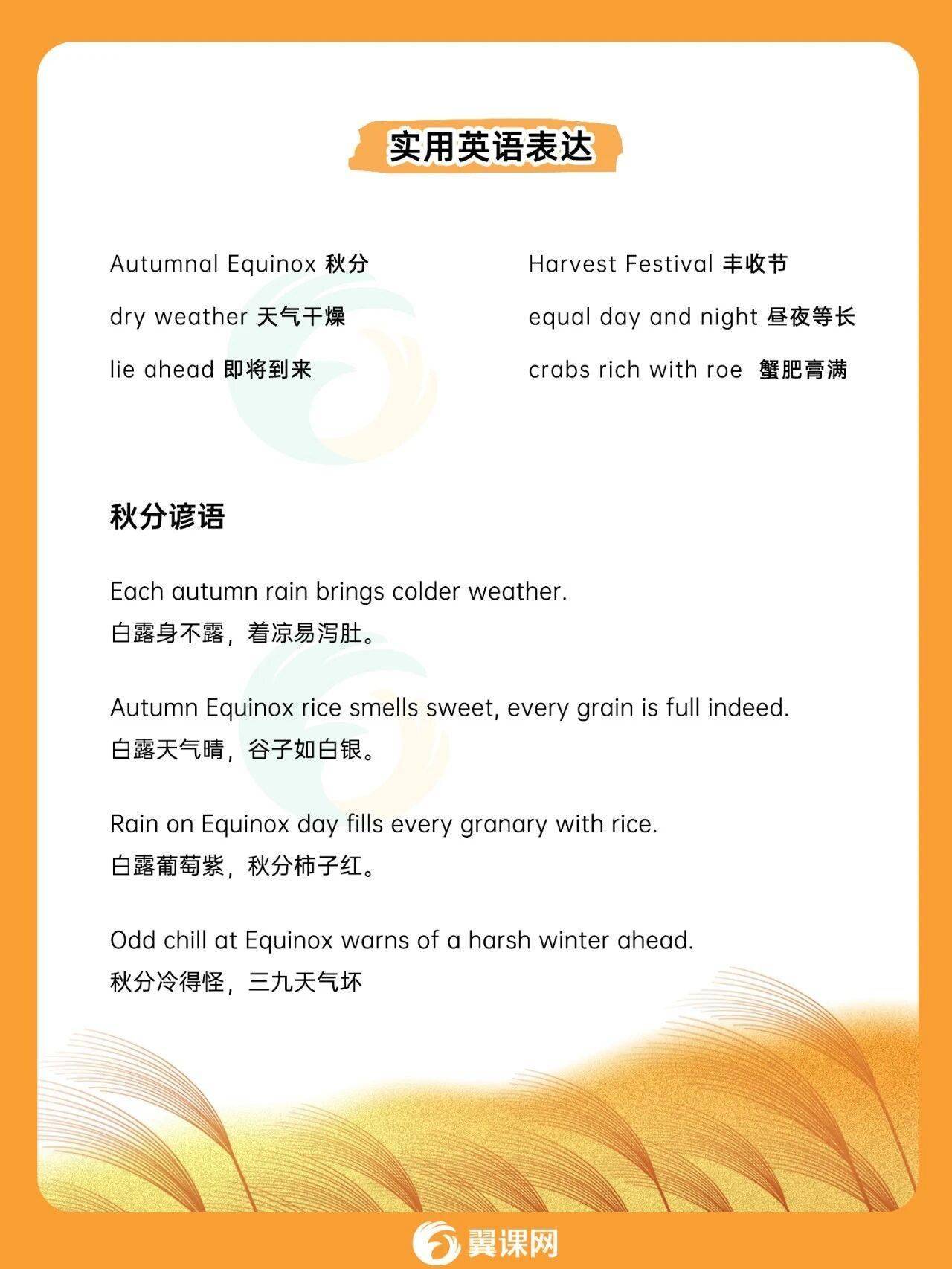 秋分节气|用英语解锁传统文化的平衡智慧