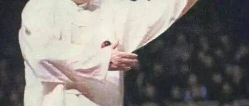 练好杨式拳有妙方,老前辈一语道破“玄机”_太极拳_动作_傅钟文