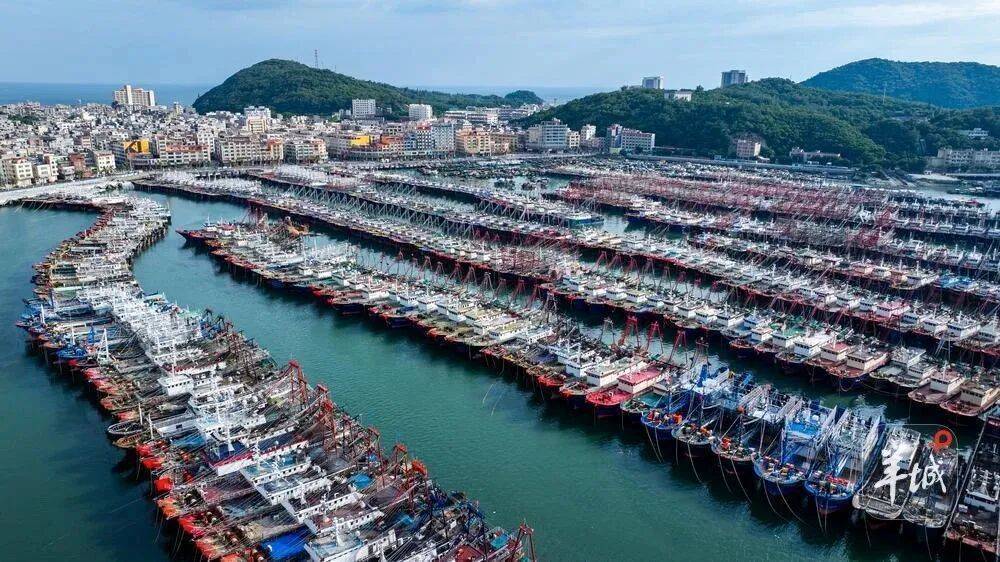 台风“桦加沙”来临前夕：闸坡渔港千帆归港，村民防御务实从容