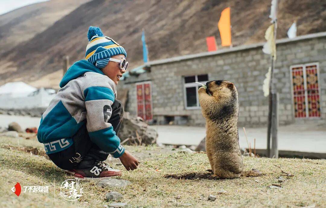 图片[5]-去高原遇到这网红，劝你看看就算了 -华闻时空