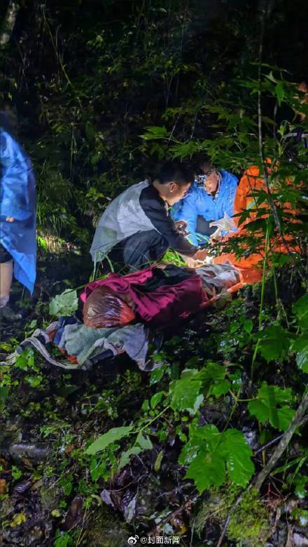 男子捡菌被黑熊一掌打下山坡 当地林业局已为其购买“野生动物致伤保险”
