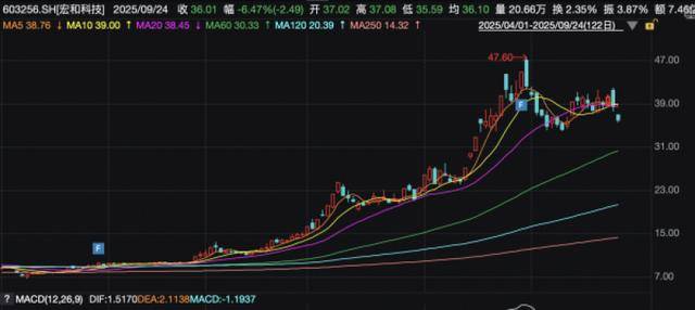 宏和科技5个多月暴涨348％，8只基金重仓押注！背后藏着哪些秘密？｜掘金百分百