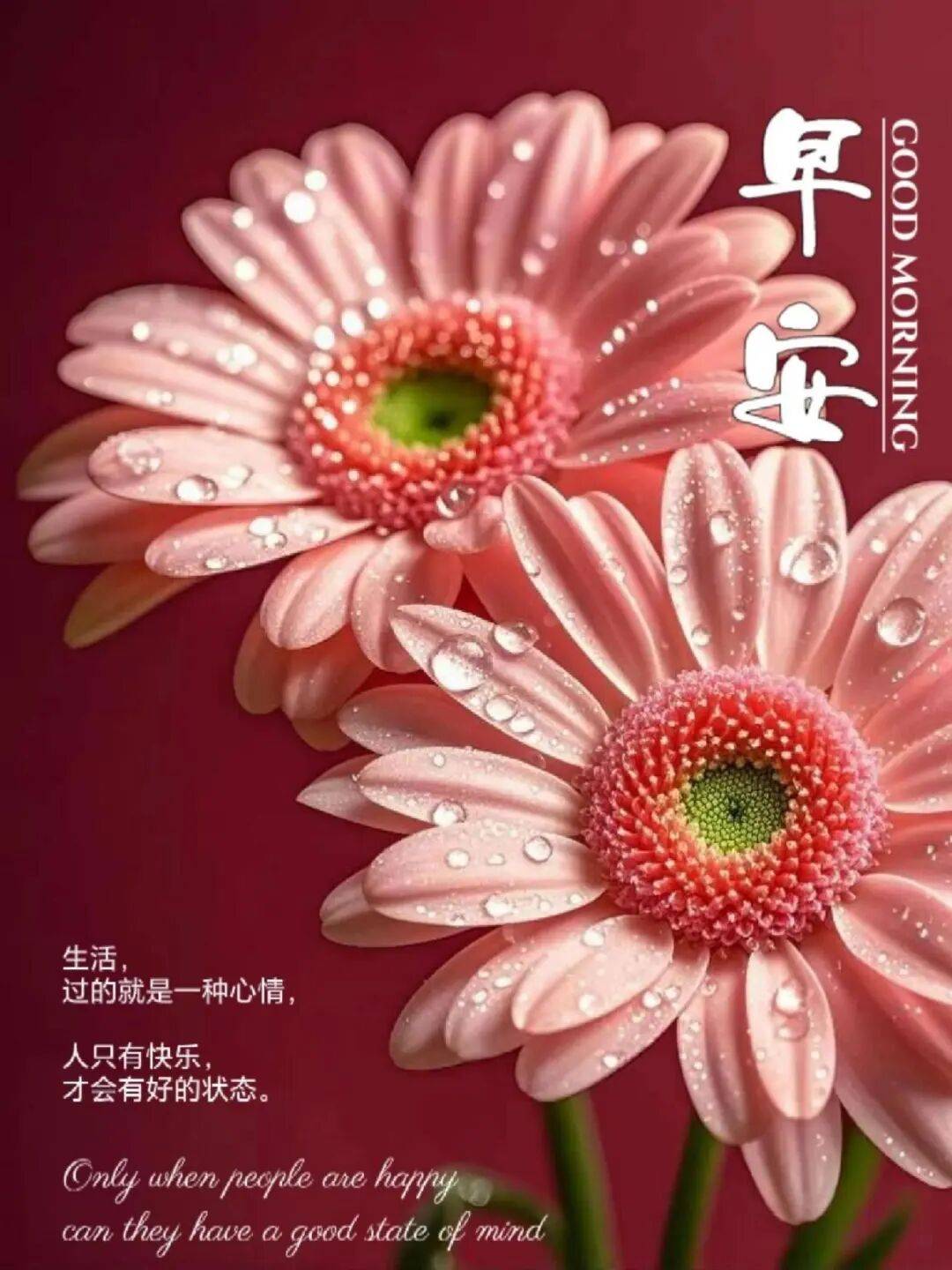 9月25日早安励志语录,愿你在这限量的生活里,收获无尽珍贵回忆